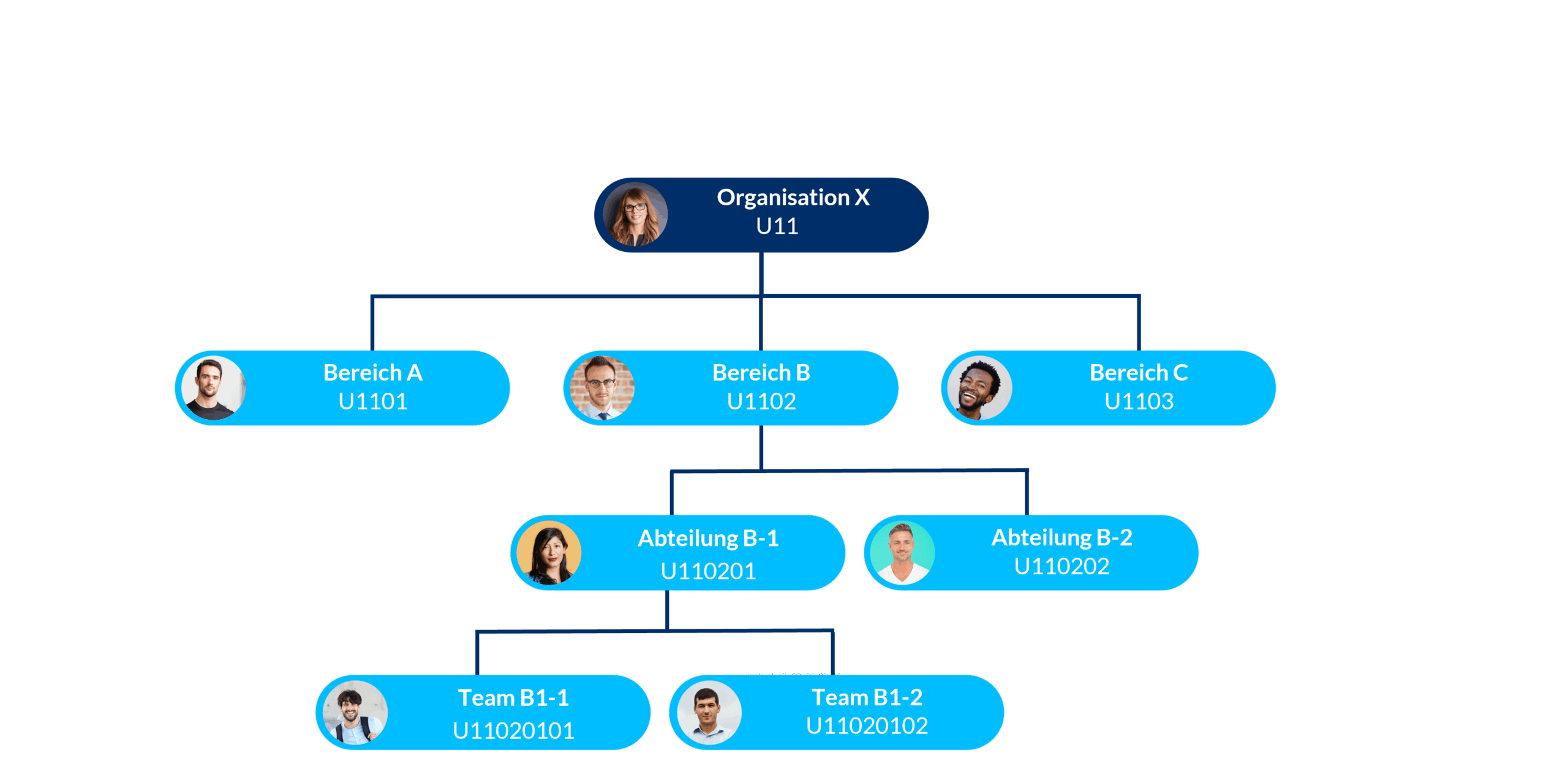 La struttura organizzativa come base per la valutazione